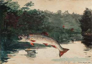 Image of Leaping Trout