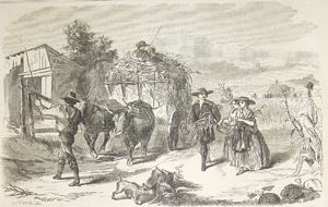 Image of Driving Home the Corn Harper's Weekly Vol. II