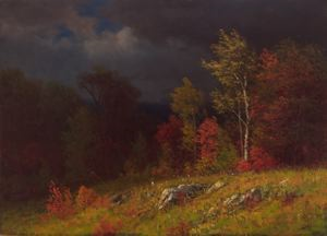 Image of Autumn Birches (Approaching Storm)